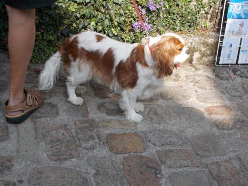 DSCN2228.JPG