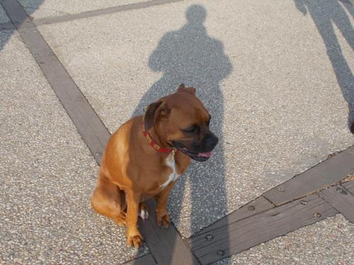 DSCN1487.JPG