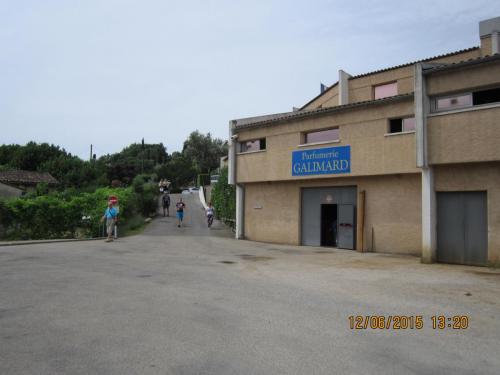 IMG_8225.jpg