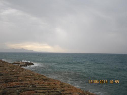 IMG_8205.jpg