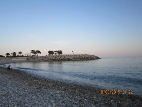 IMG_8146.jpg