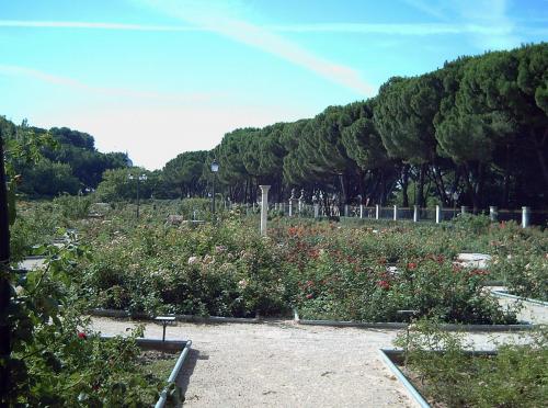 Rosaleda_del_Parque_del_Oeste_Madrid_17.jpg