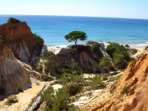 algarve-bei-albufeira.jpg