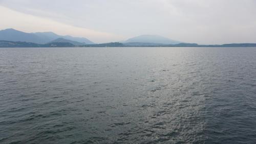 DSC00205.JPG