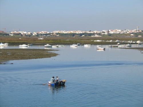 portugaliya-algarve-_ria_formosa-flickr_com-eutrophication.jpg