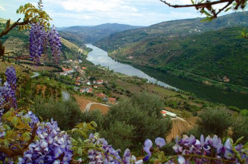 vik-douro-river-valley.jpg
