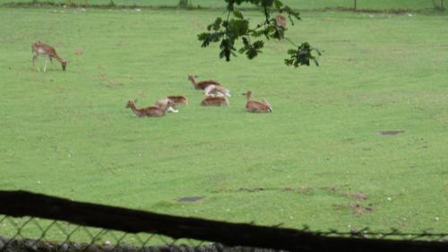 DSC00890.JPG