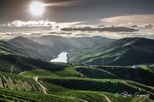 Duoro-Valley.jpg