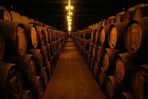 wine-cellar-image.jpg