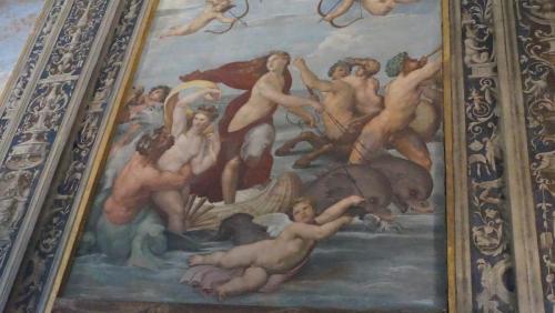 DSC01375.JPG