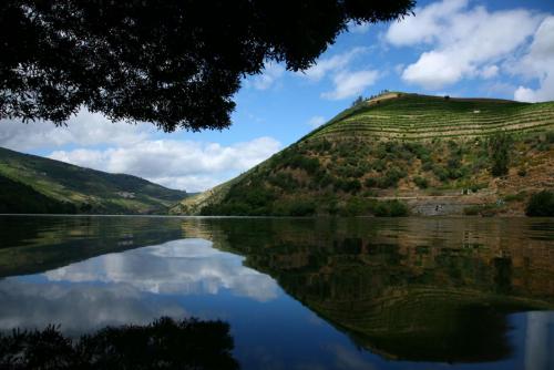 aquapura_douro_valley_1283792204.jpg