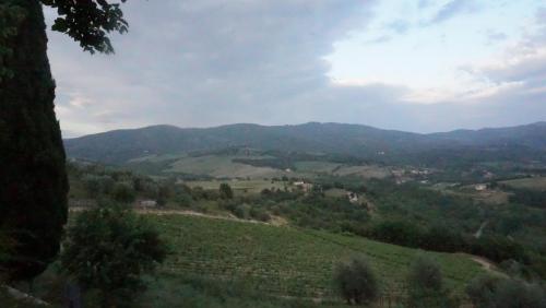 DSC01147.JPG