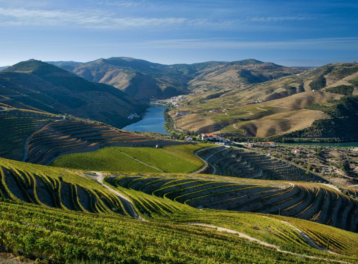Долины Дору в Португалии виноградники
