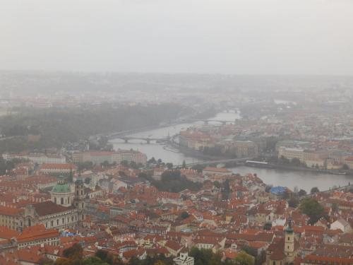 PA220579.JPG