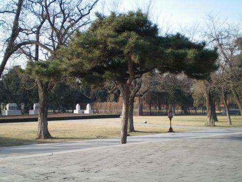 100_0050.jpg