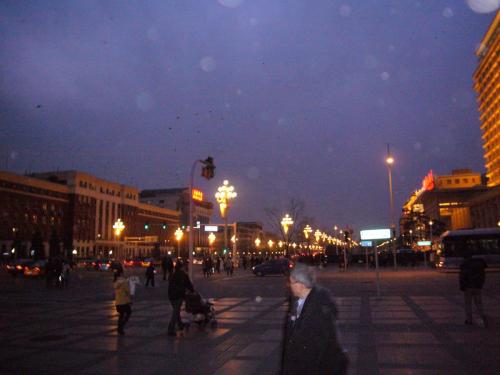 P1060320.JPG