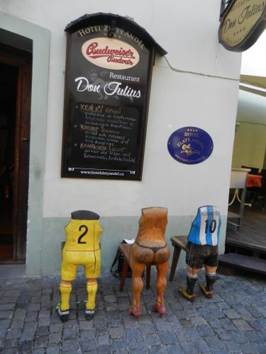 DSCN9248 - копия.JPG