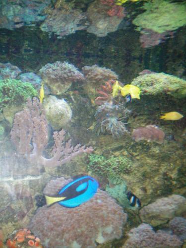 100_0455.jpg