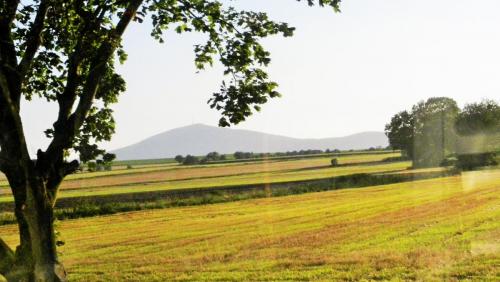 DSCN2644 — копия.JPG