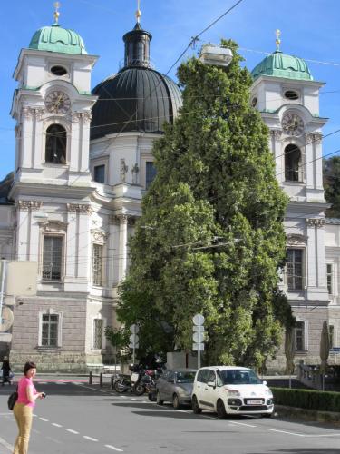 IMG_0260.JPG