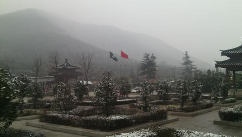 IMG_20150125_101119.jpg