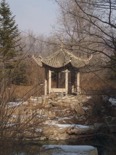 DSCF2802.jpg