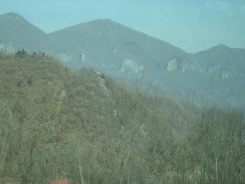 IMG_0316.jpg