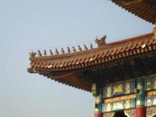 DSCF2893.jpg