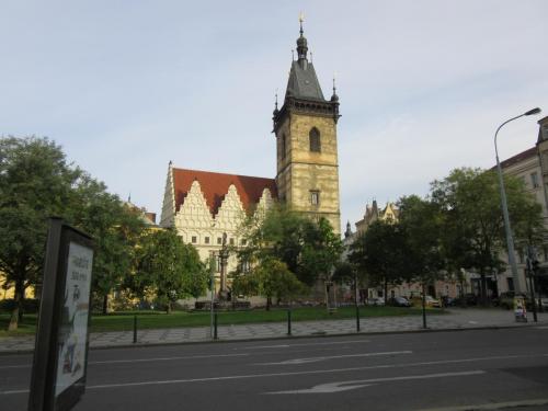 IMG_0595.JPG