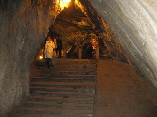 IMG_0337.jpg