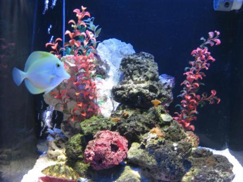 IMG_0586.jpg