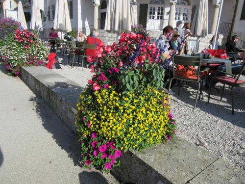 IMG_0545.JPG
