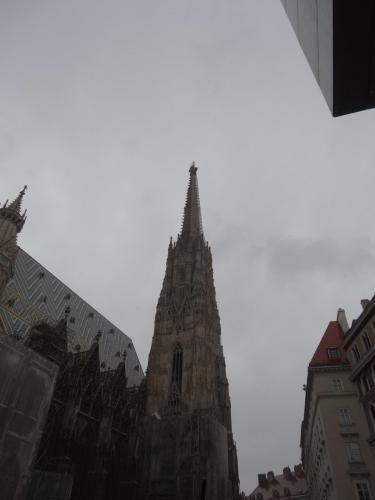 DSC00358.JPG