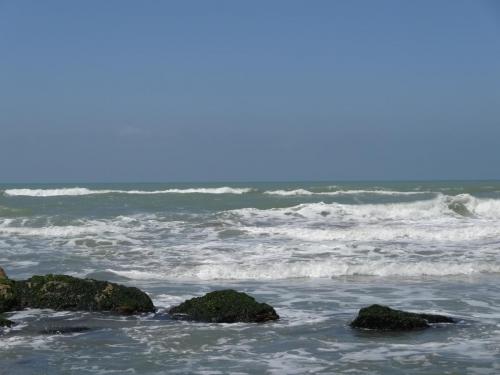 DSC00996.JPG