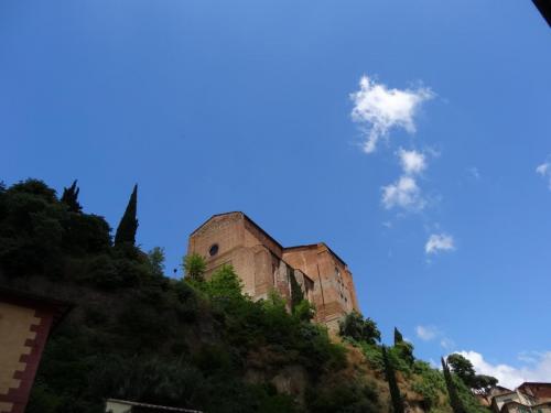 DSC00874.JPG