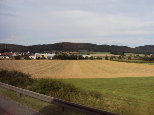 DSC08088.JPG