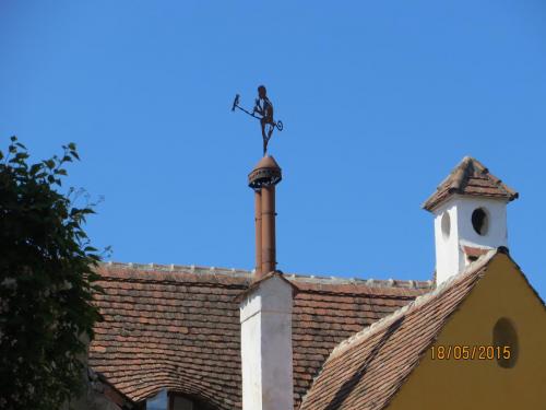 IMG_7772.JPG