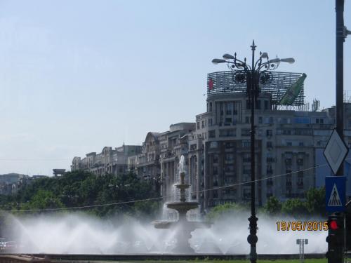 IMG_7952.JPG