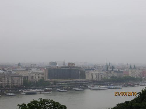 IMG_8235.JPG