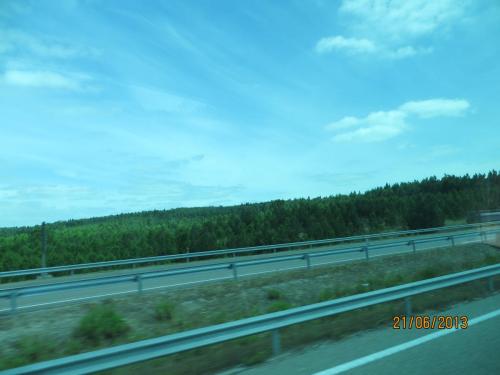 IMG_2291.JPG
