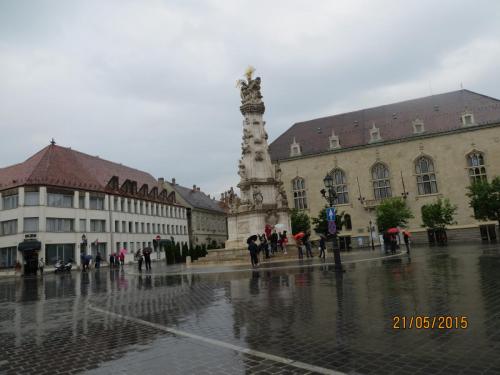 IMG_8227.JPG