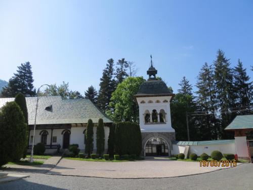 IMG_7892.JPG