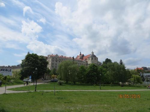 IMG_7563.JPG