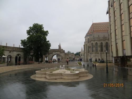 IMG_8211.JPG