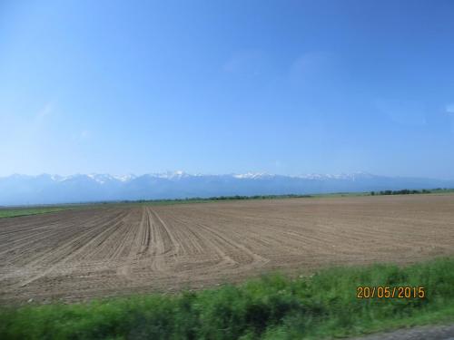 IMG_8041.JPG