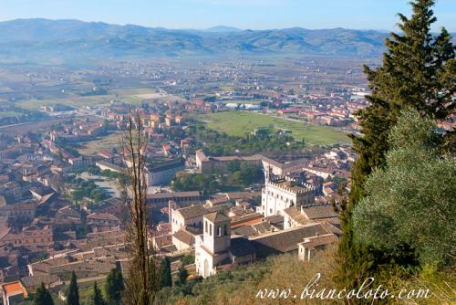 вид на город 1.jpg