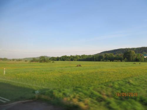 IMG_7630.JPG