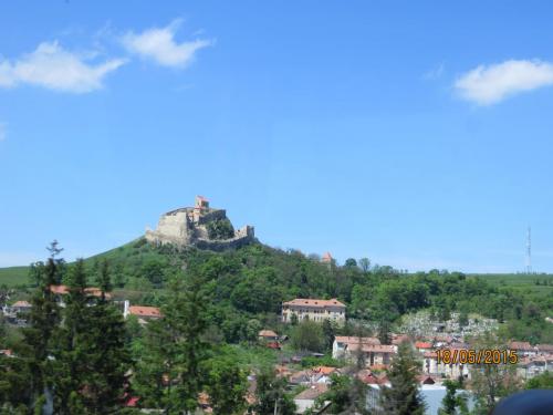IMG_7805.JPG