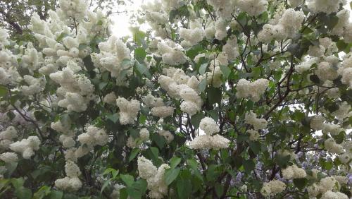 20150524_184605.jpg