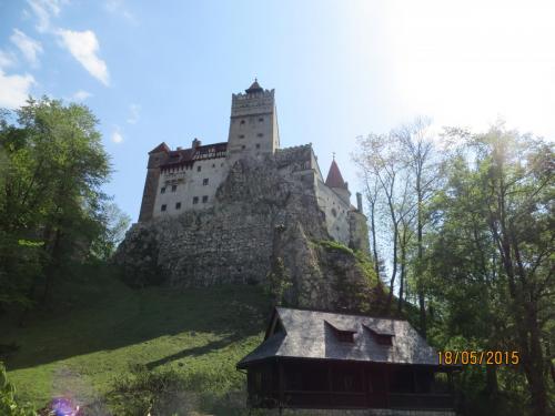 IMG_7820.JPG